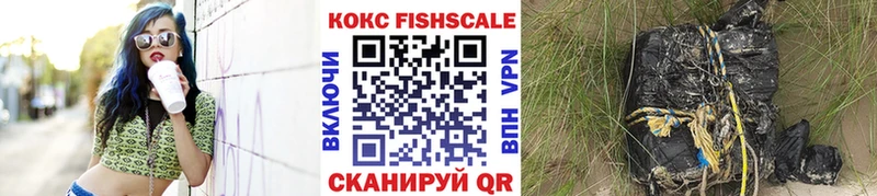 купить наркотики сайты  Алексин  COCAIN FishScale 