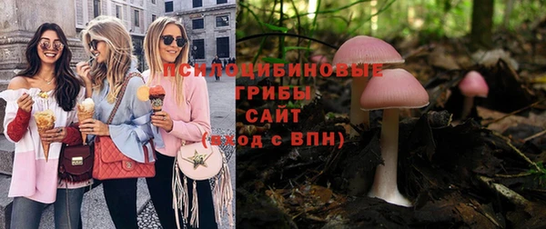 дживик Алзамай